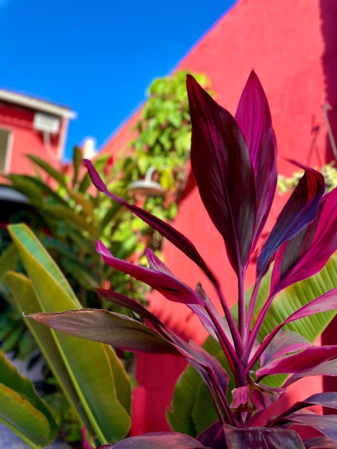 Pousada Kawaii Porto Seguro Exterior photo